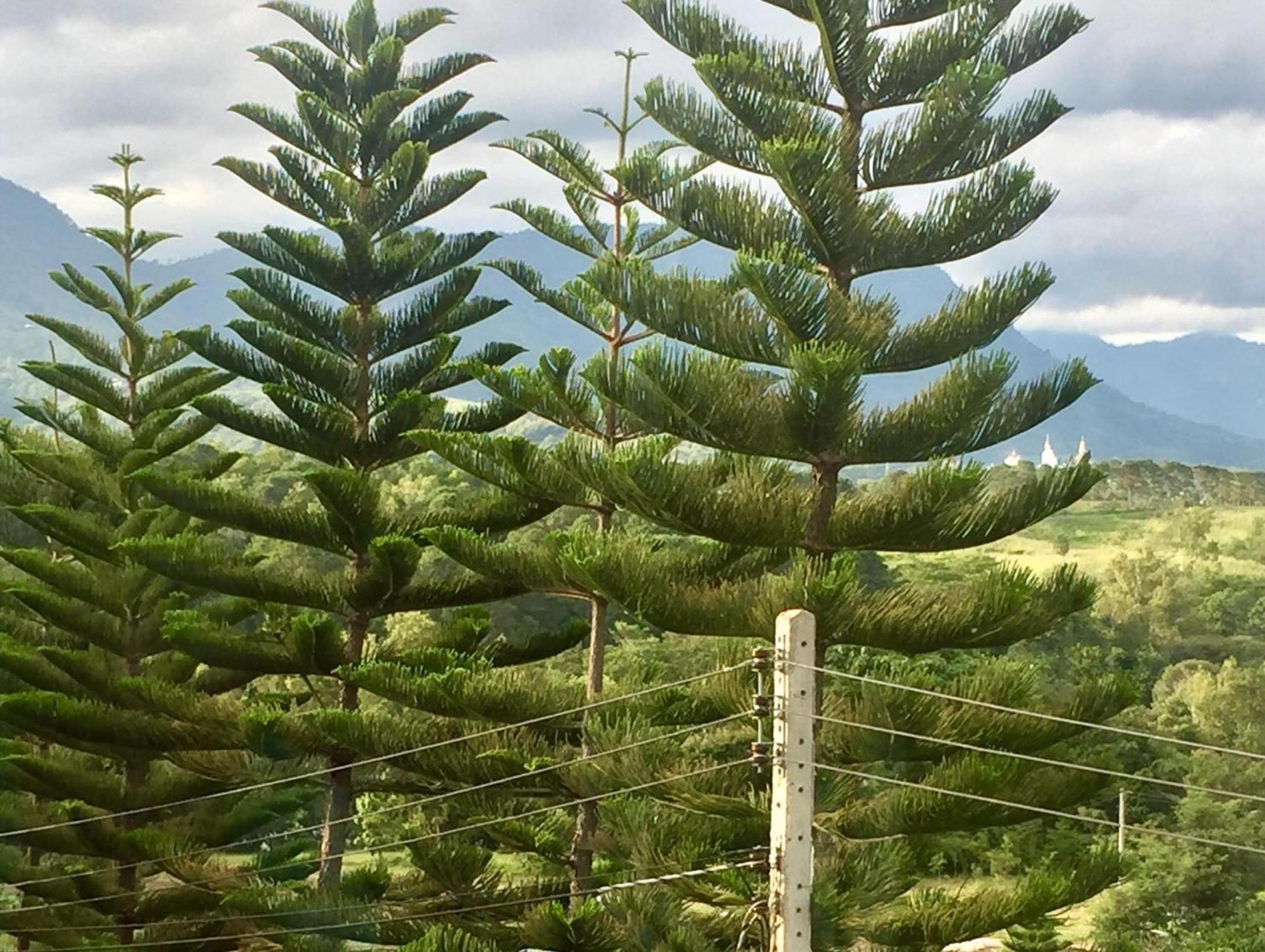 Khao Kho Sky Winds Hotel Eksteriør billede
